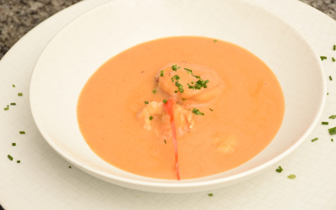 Diseño Menú Foto 8